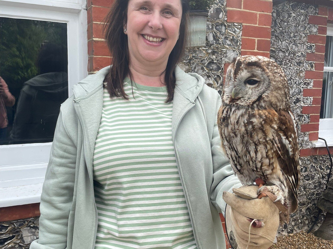 West Sussex Falconry-Compton必去景点