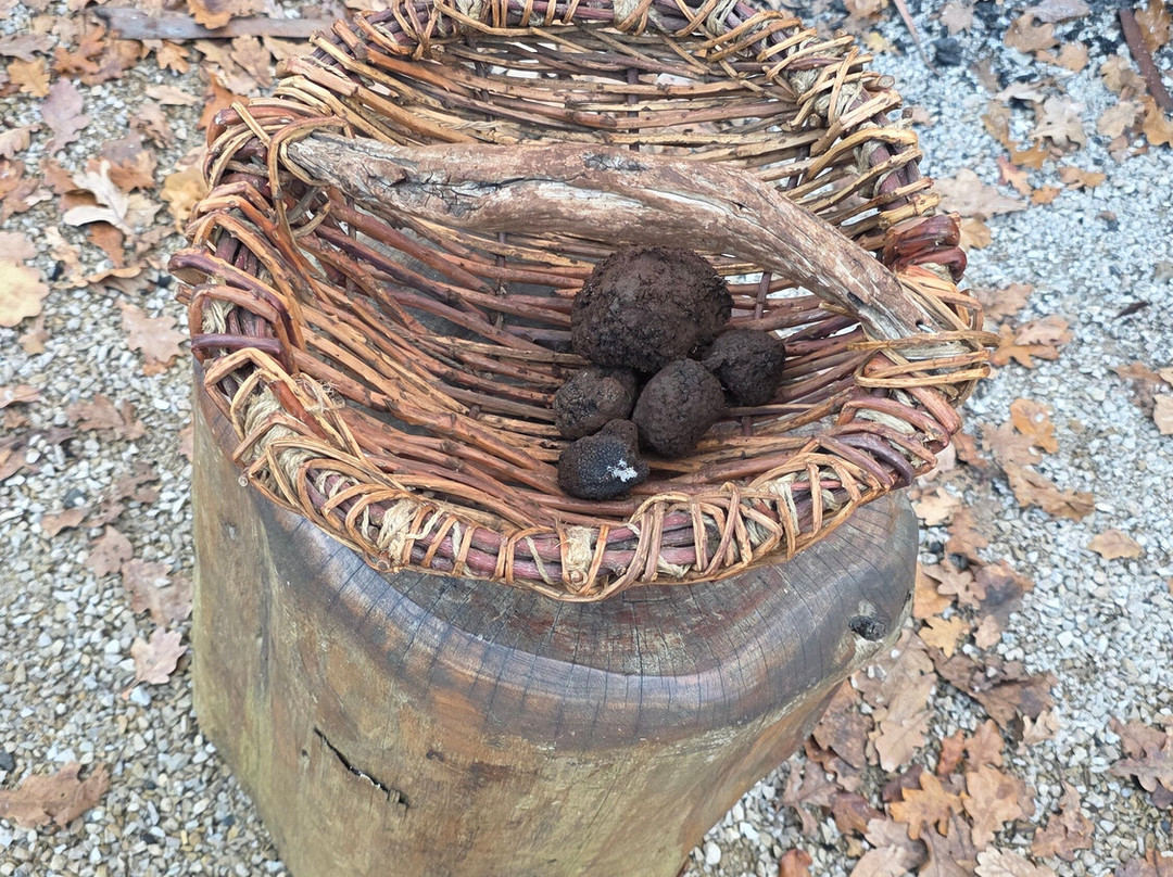 The Truffle Farm Tasmania-德洛兰恩必去景点