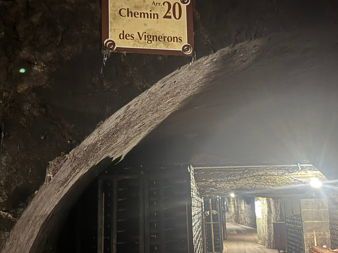 Caves Louis de Grenelle-梭缪尔必去景点