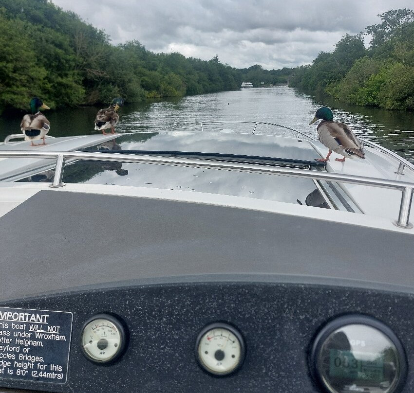 Richardsons Boating Holidays-Stalham必去景点