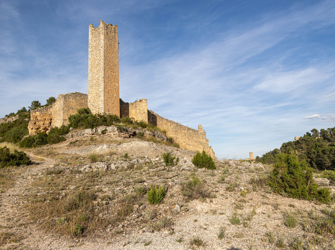 Torre de Armas o del Campo-阿拉尔孔必去景点
