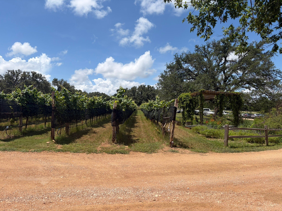 William Chris Vineyards-Hye必去景点