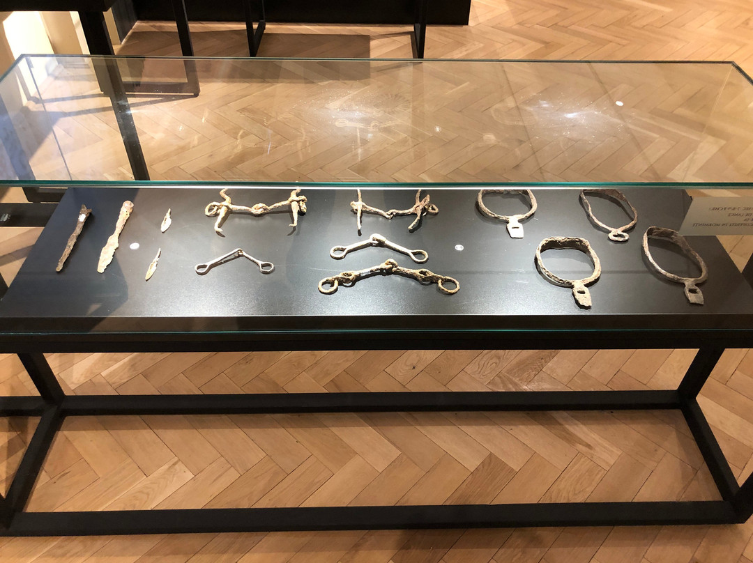 Complexul Muzeal Arad - Archaeology-History Section-阿拉德必去景点