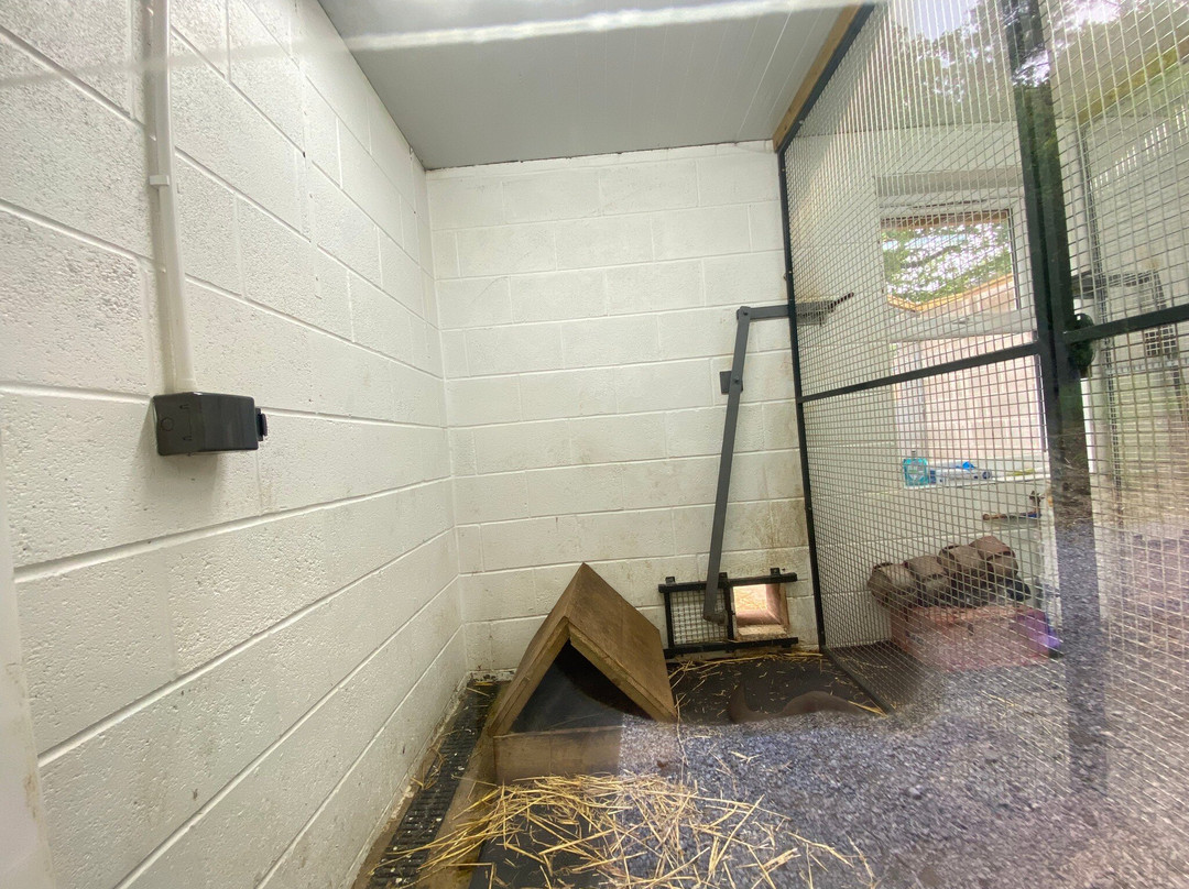 The Lake District Wildlife Park-Bassenthwaite必去景点