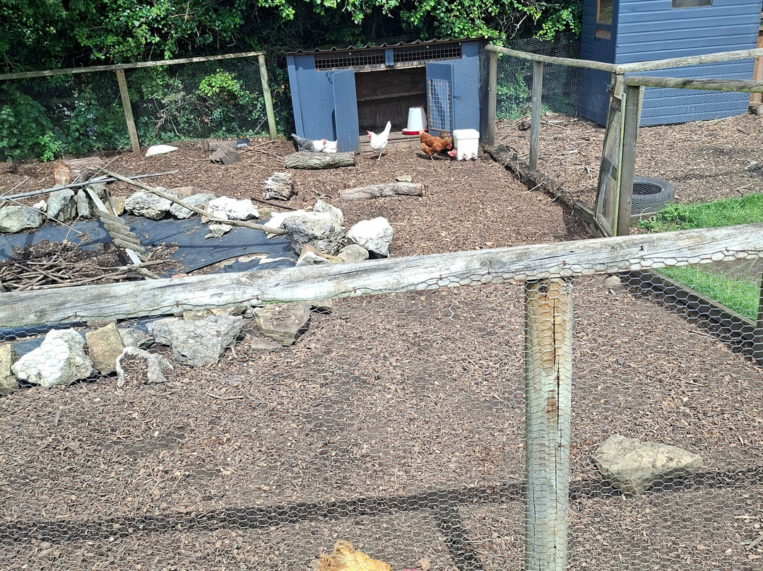 Sedgley Adventure Centre-Sedgley必去景点