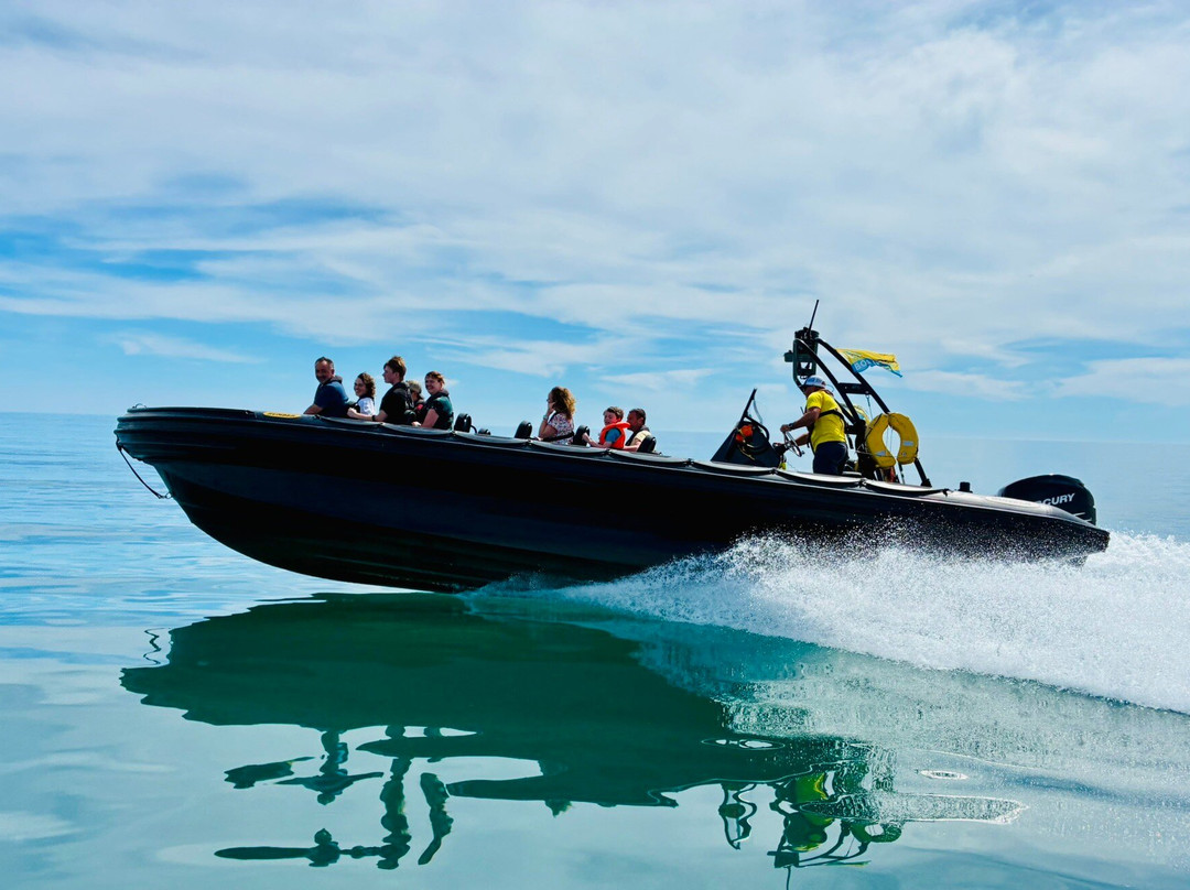 Lyme Bay Rib Charter-West Bay必去景点