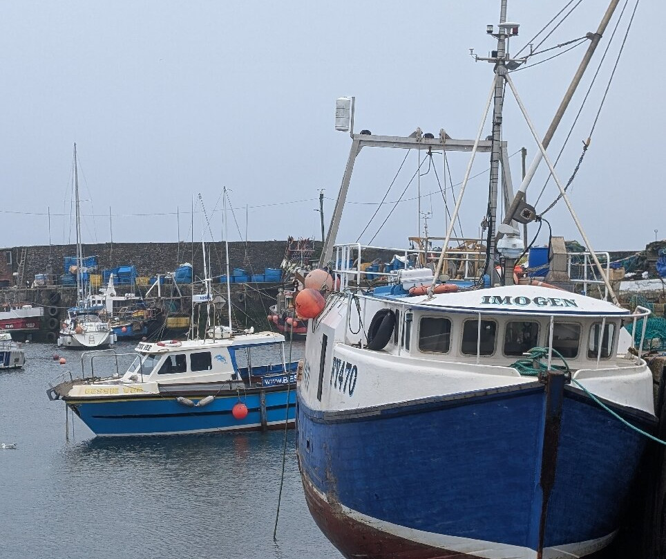 Mevagissey Harbour-梅瓦吉西必去景点