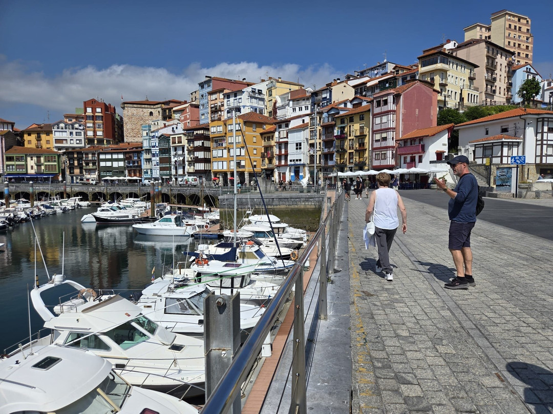 ToursByBasques Private Guided Tours-毕尔巴鄂必去景点