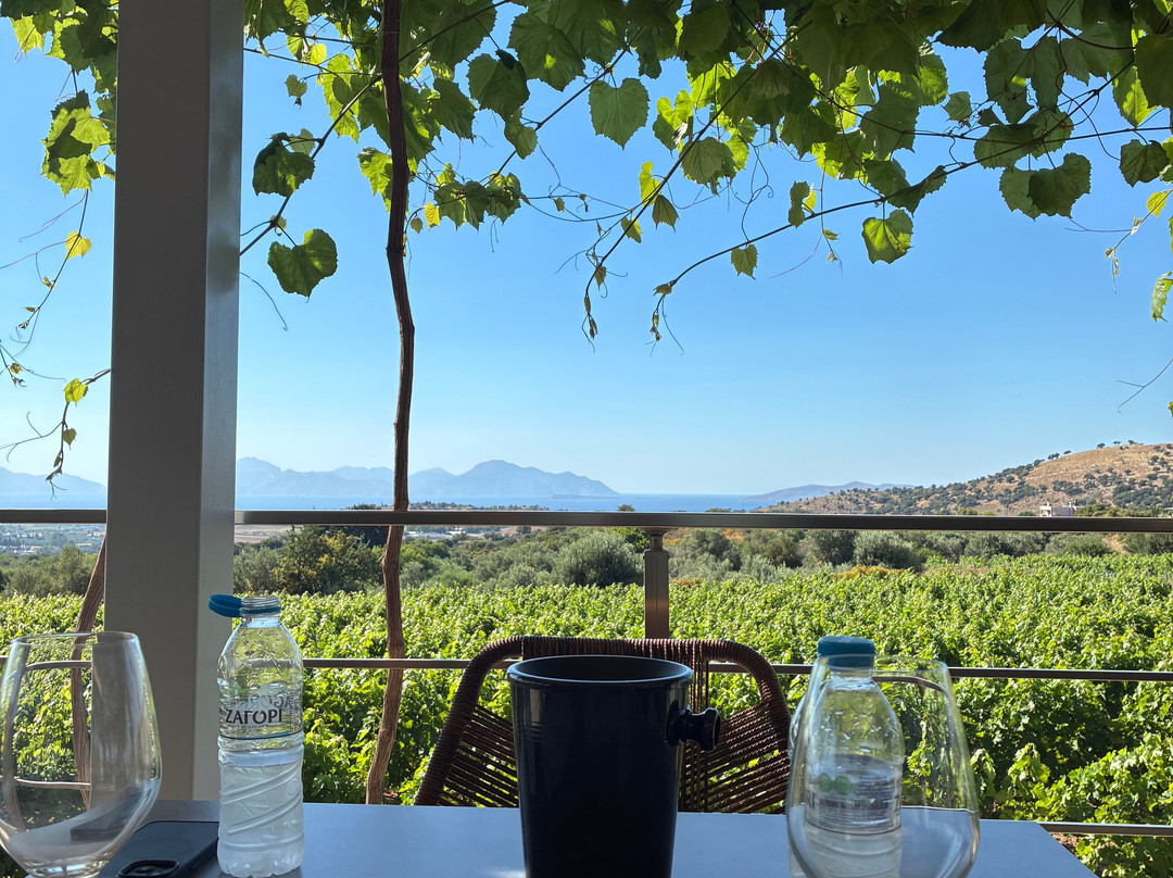 Papakonstantinou Winery-Pili必去景点