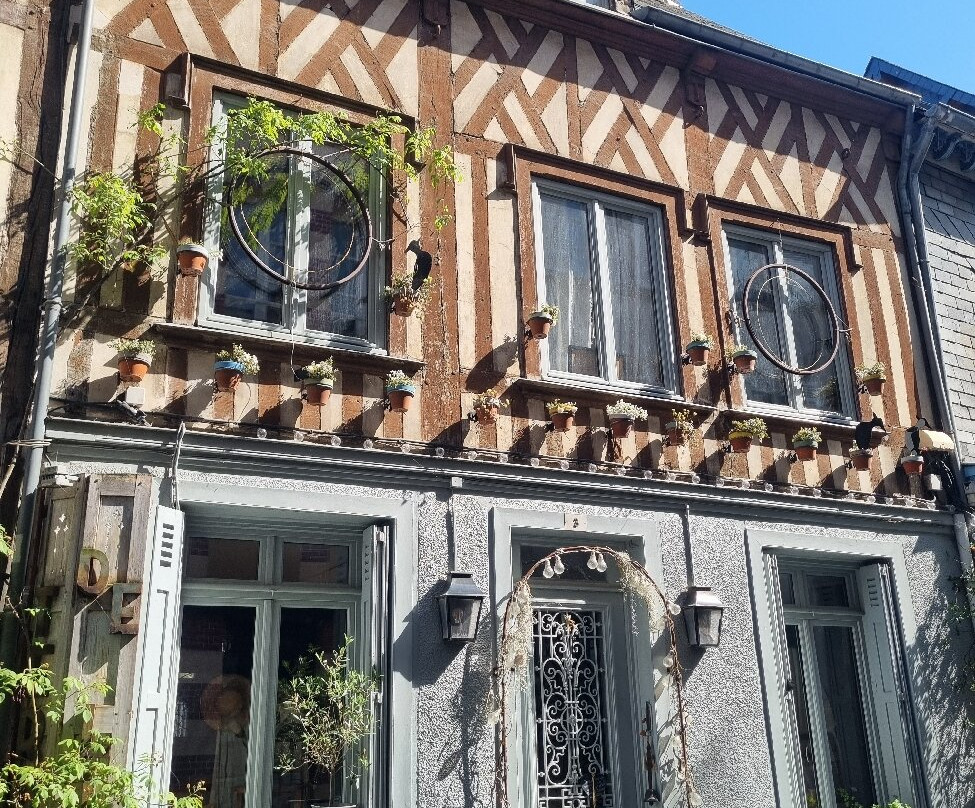Le Vieux Bassin-翁弗勒尔必去景点
