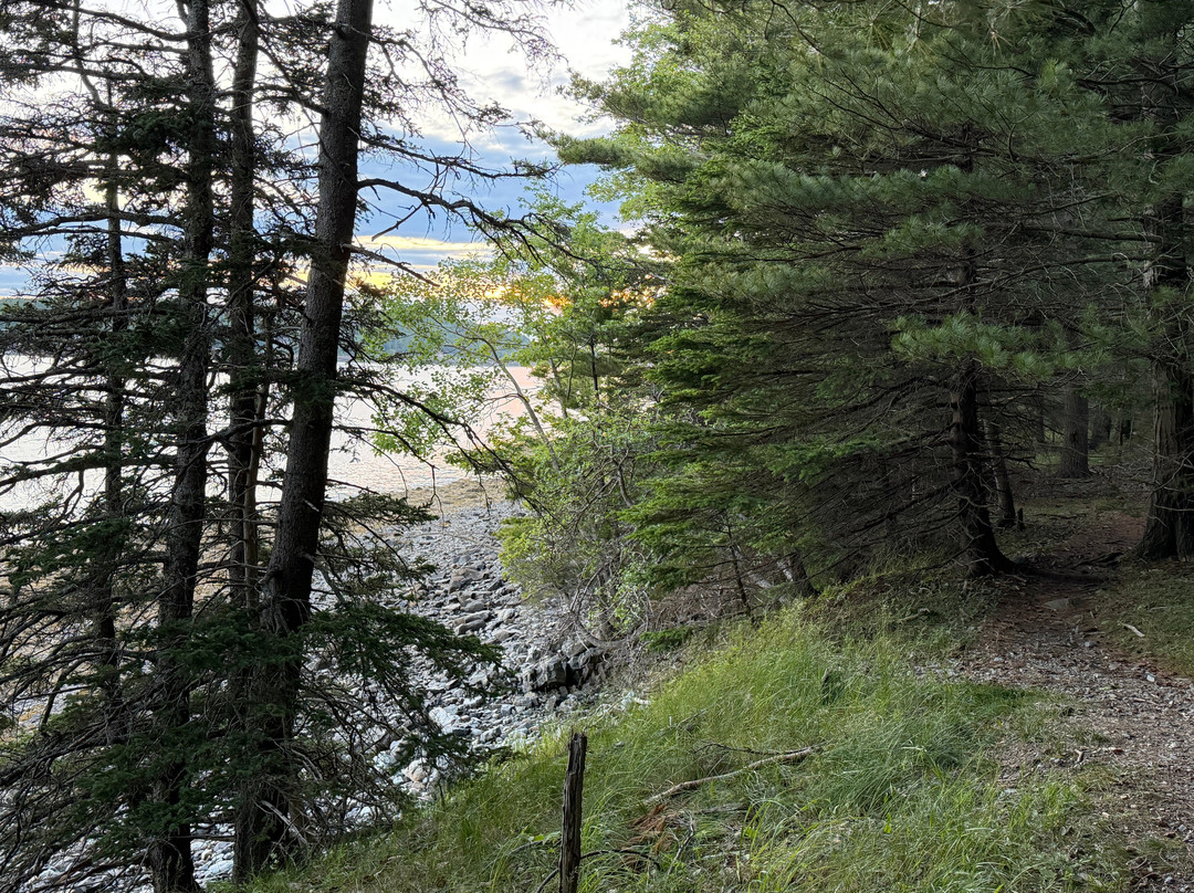 Bar Island Trail-巴港必去景点