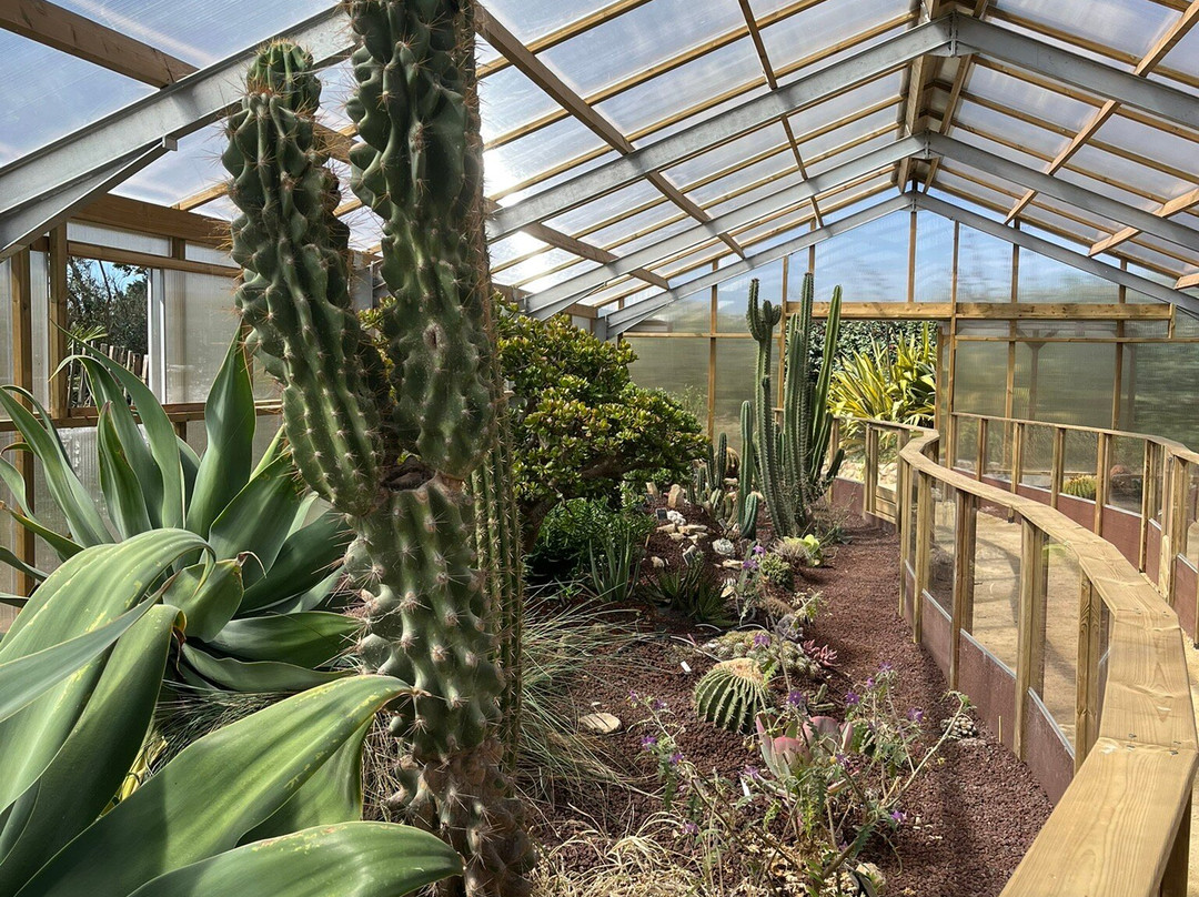 Jardin Exotique et Botanique de Roscoff-罗斯科夫必去景点