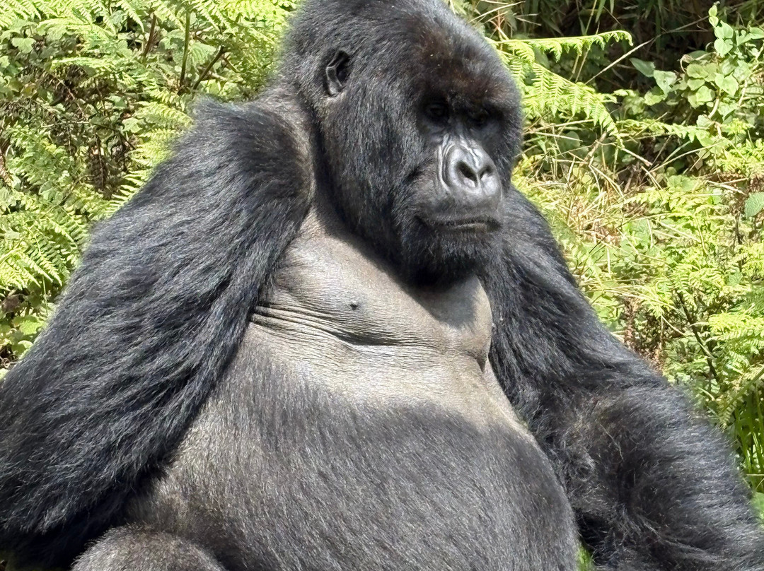Experience Kigezi-Kisoro必去景点