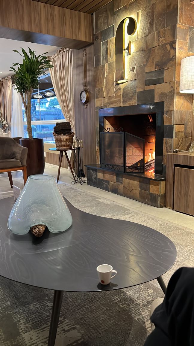 Hotel Fioreze Centro-旅行者