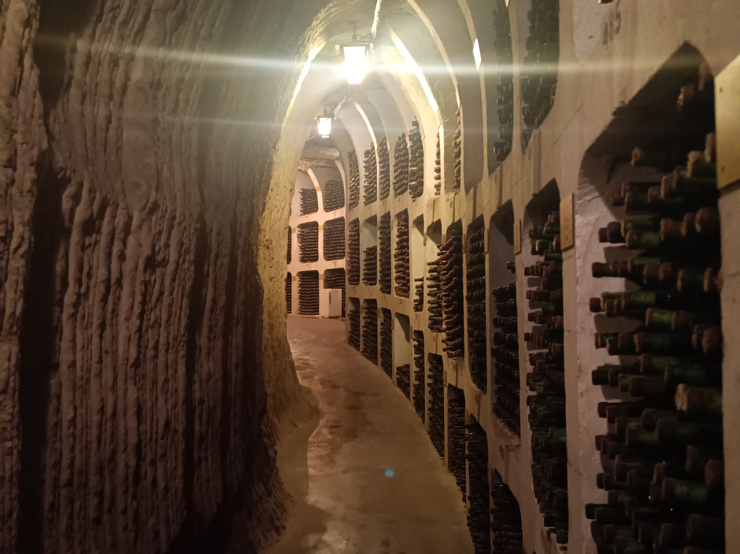 Mileștii Mici Winery-Milestii Mici必去景点