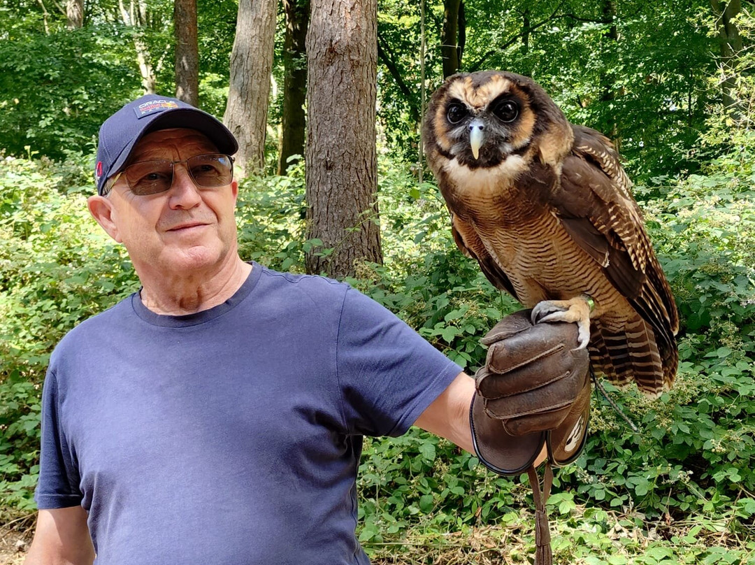 East Sussex Falconry-Herstmonceux必去景点