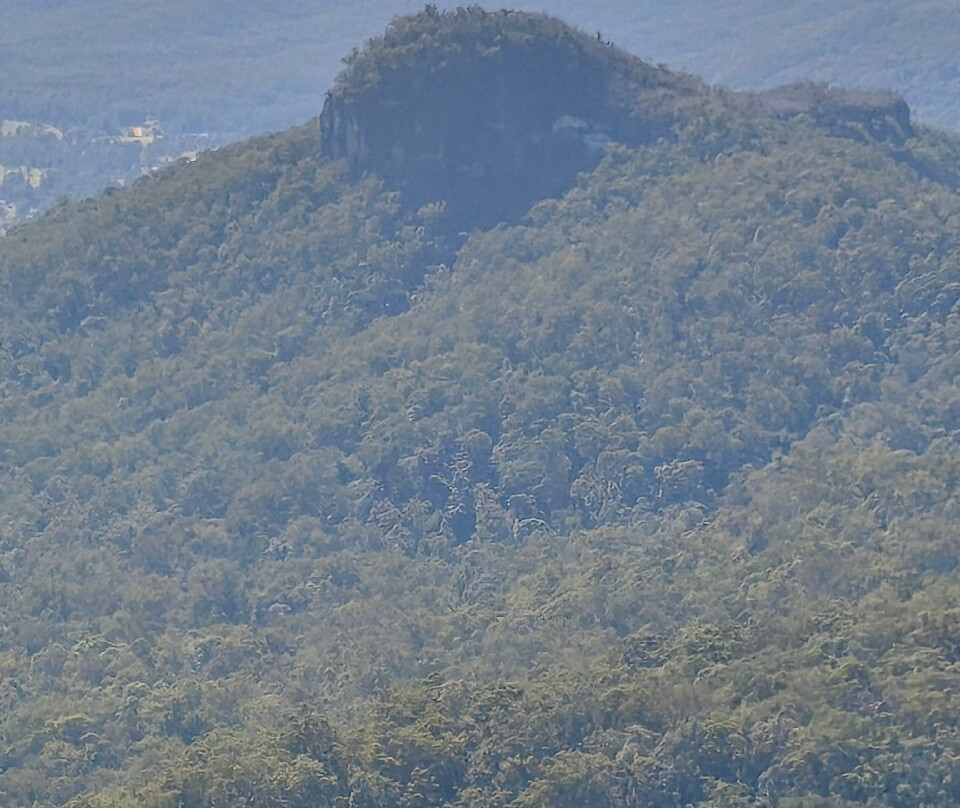 Bellbird Lookout & Circuit-Binna Burra必去景点