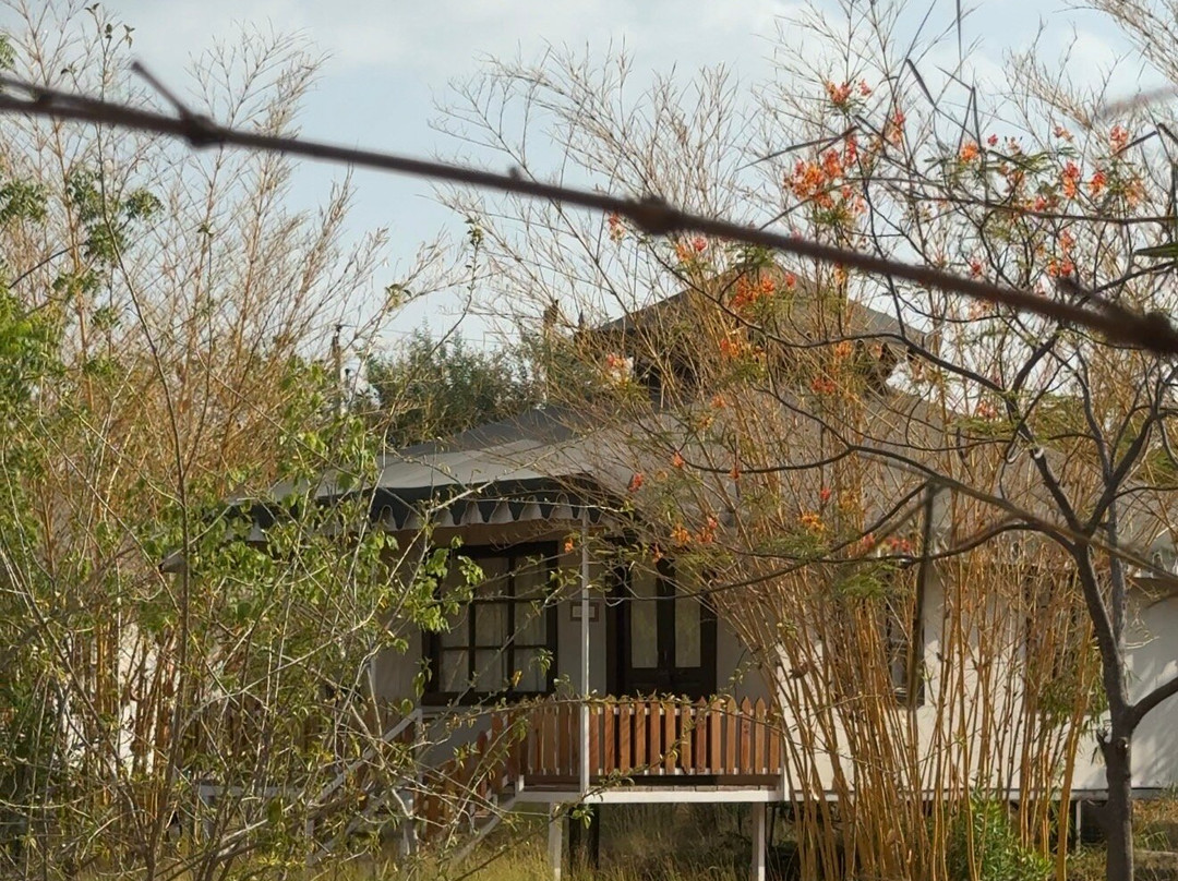 贾瓦里豹野生动物园小屋主图