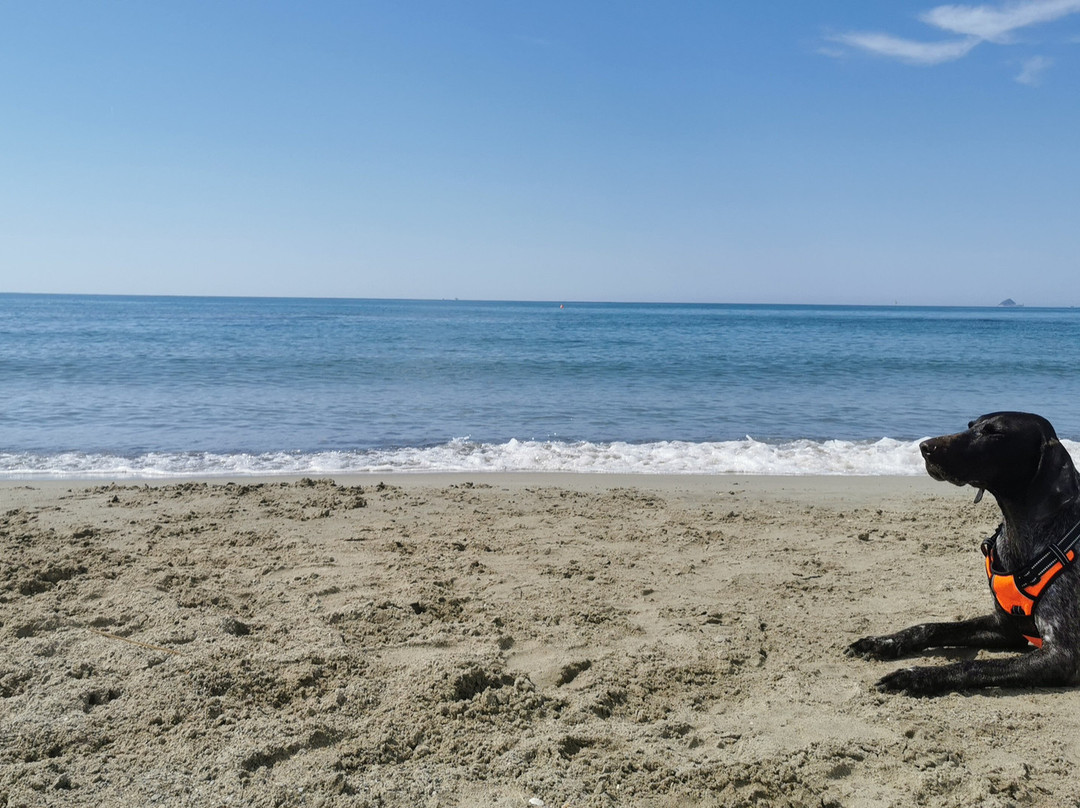 Spiaggia Perelli 1-皮翁比诺必去景点