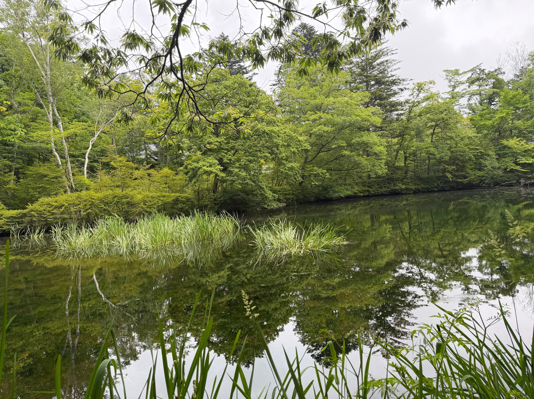 Imori Pond-妙高市必去景点