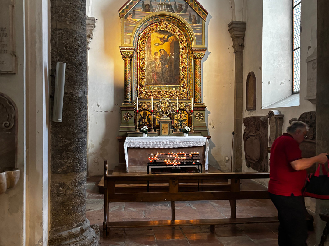 Franziskanerkirche-萨尔茨堡必去景点