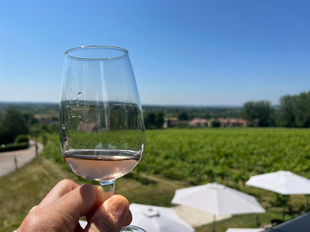 Wraxall Vineyard-Wraxall必去景点