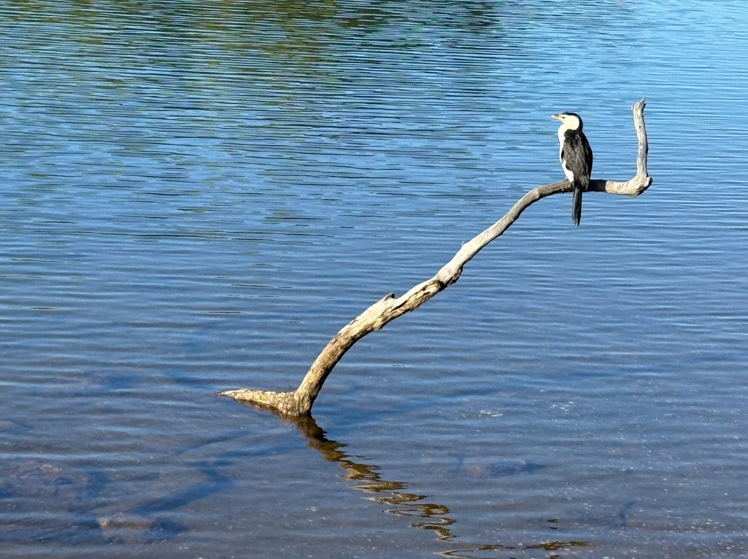 Tawharanui Regional Park-瓦卡沃夫必去景点