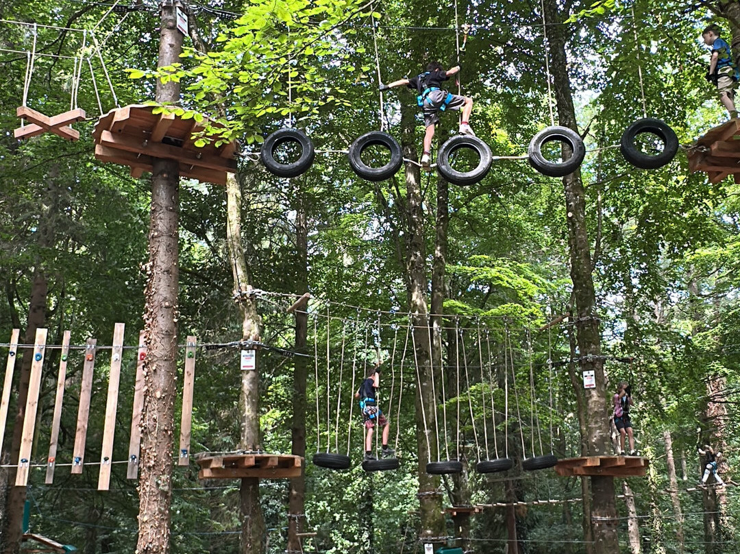 Zipit Forest Adventures-Boyle必去景点