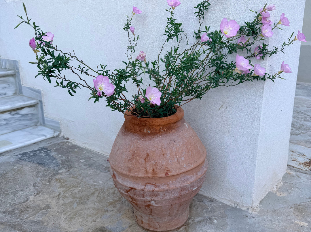 伊罗达花园套房主图