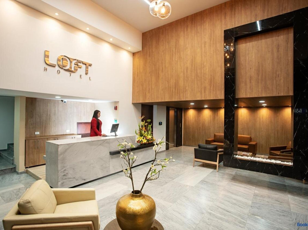 伊皮亚莱斯酒店住宿-Loft Hotel Ipiales