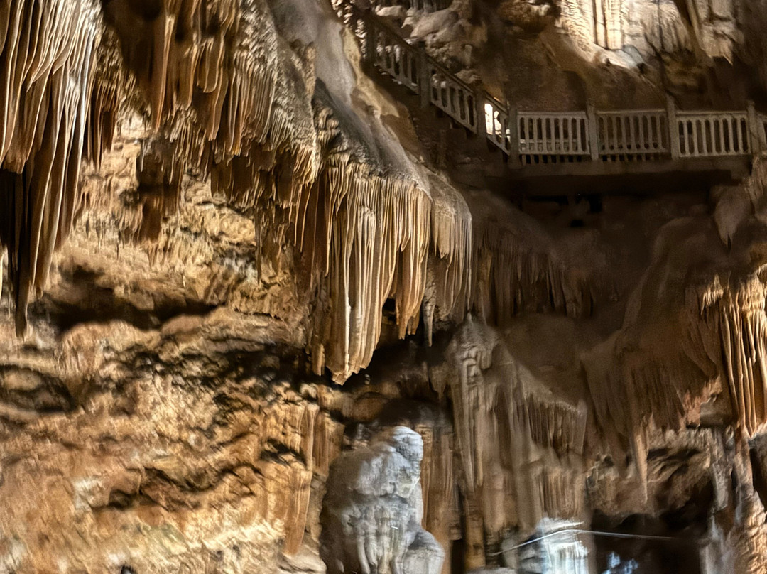 La Grotte Des Demoiselles-Saint-Bauzille-de-Putois必去景点