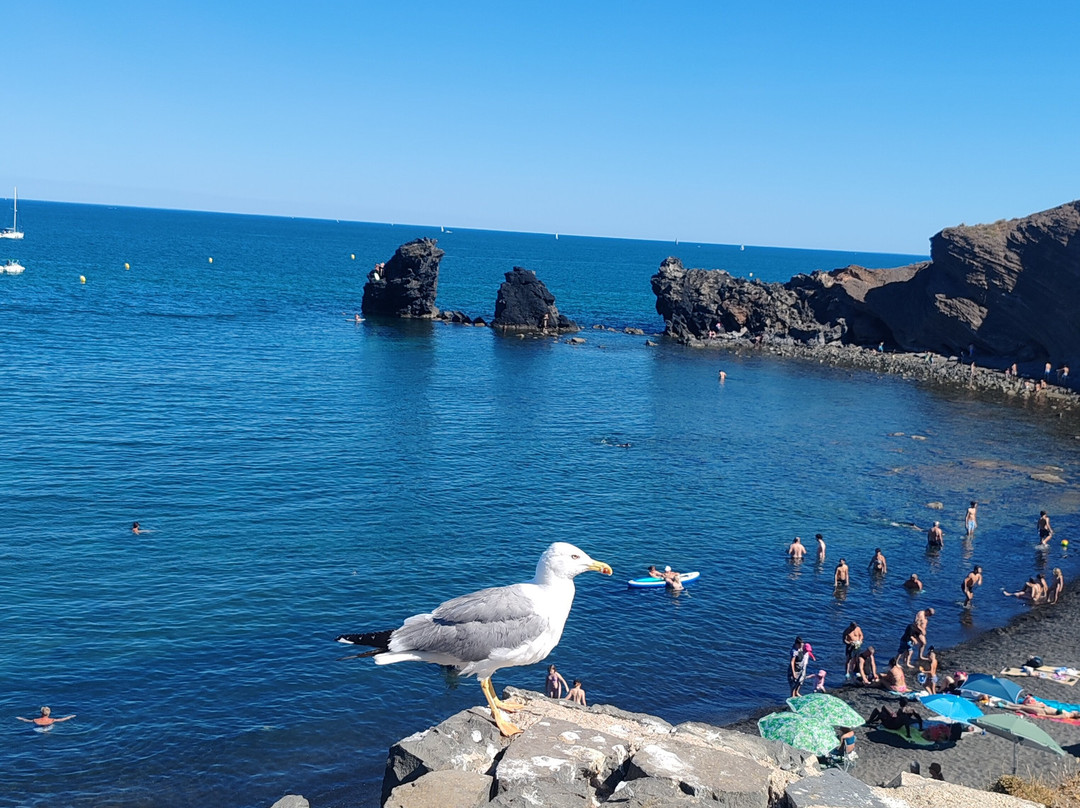 Plage du Môle-Cap-d'Agde必去景点