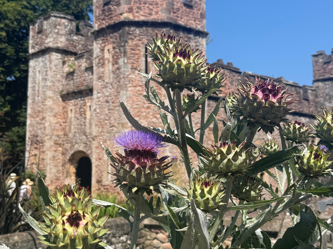 Dunster Castle-Dunster必去景点