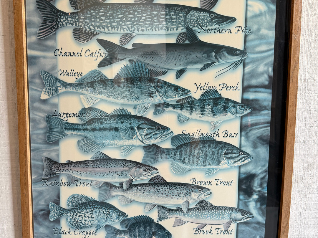 Les Voight State Fish Hatchery Visitor Center-Bayfield必去景点