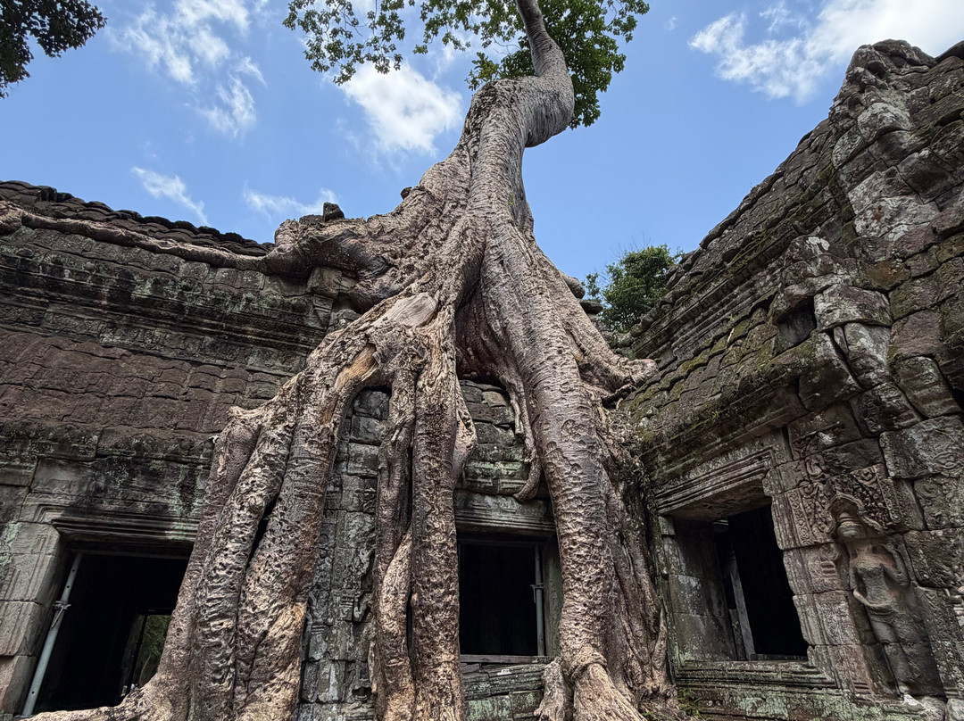 Angkor Kosal Guide Private Tours-暹粒必去景点