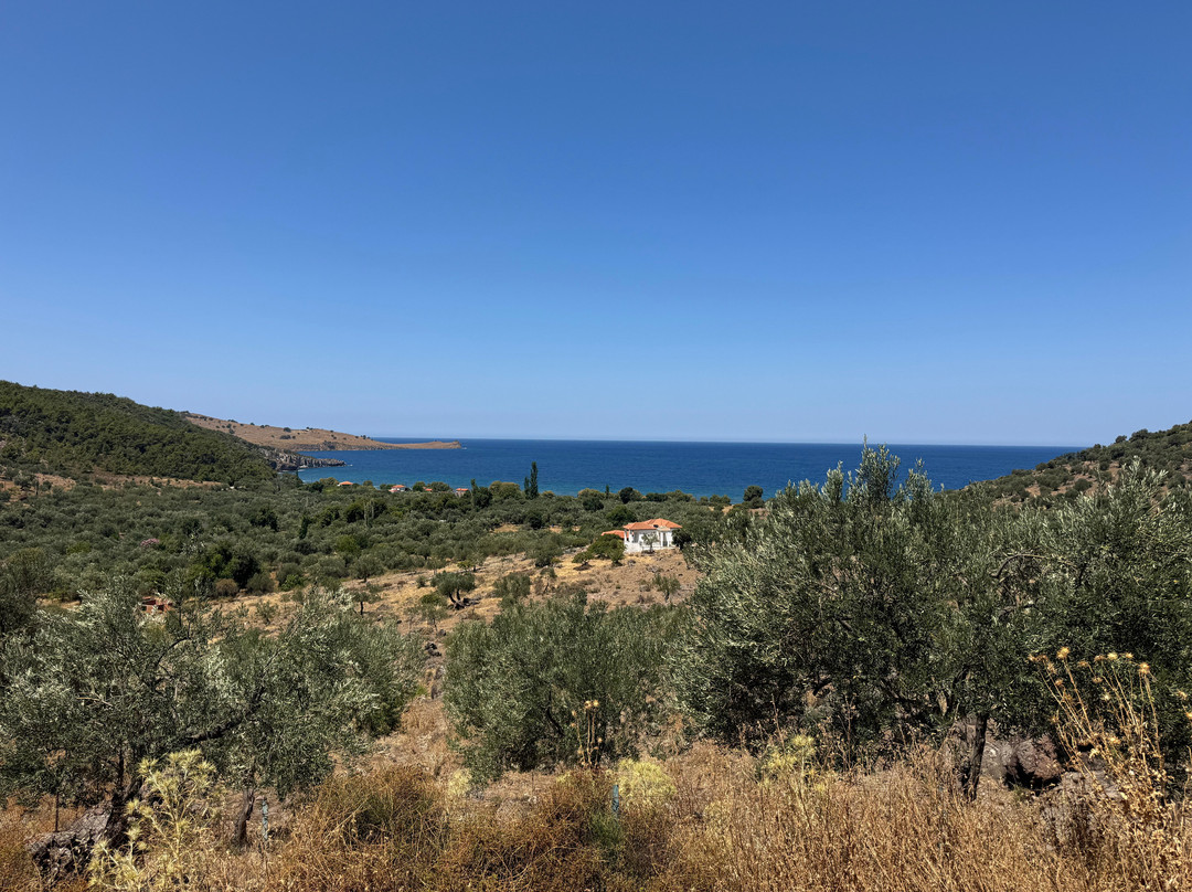 Paralia Ampeli