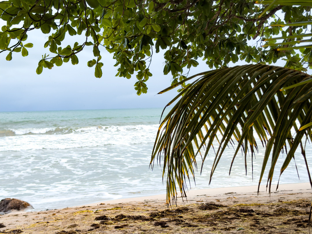 Cahuita National Park-卡维塔必去景点