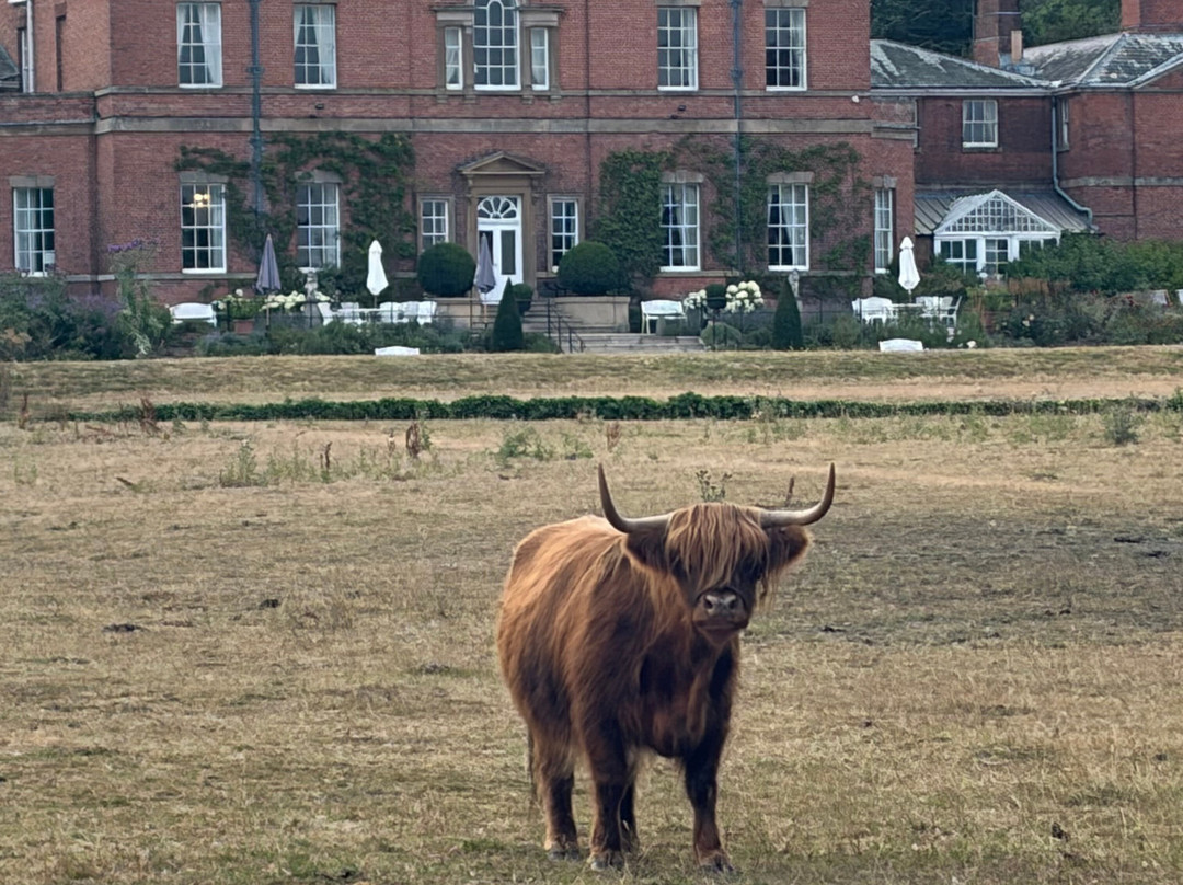 Norwood Park Country House主图