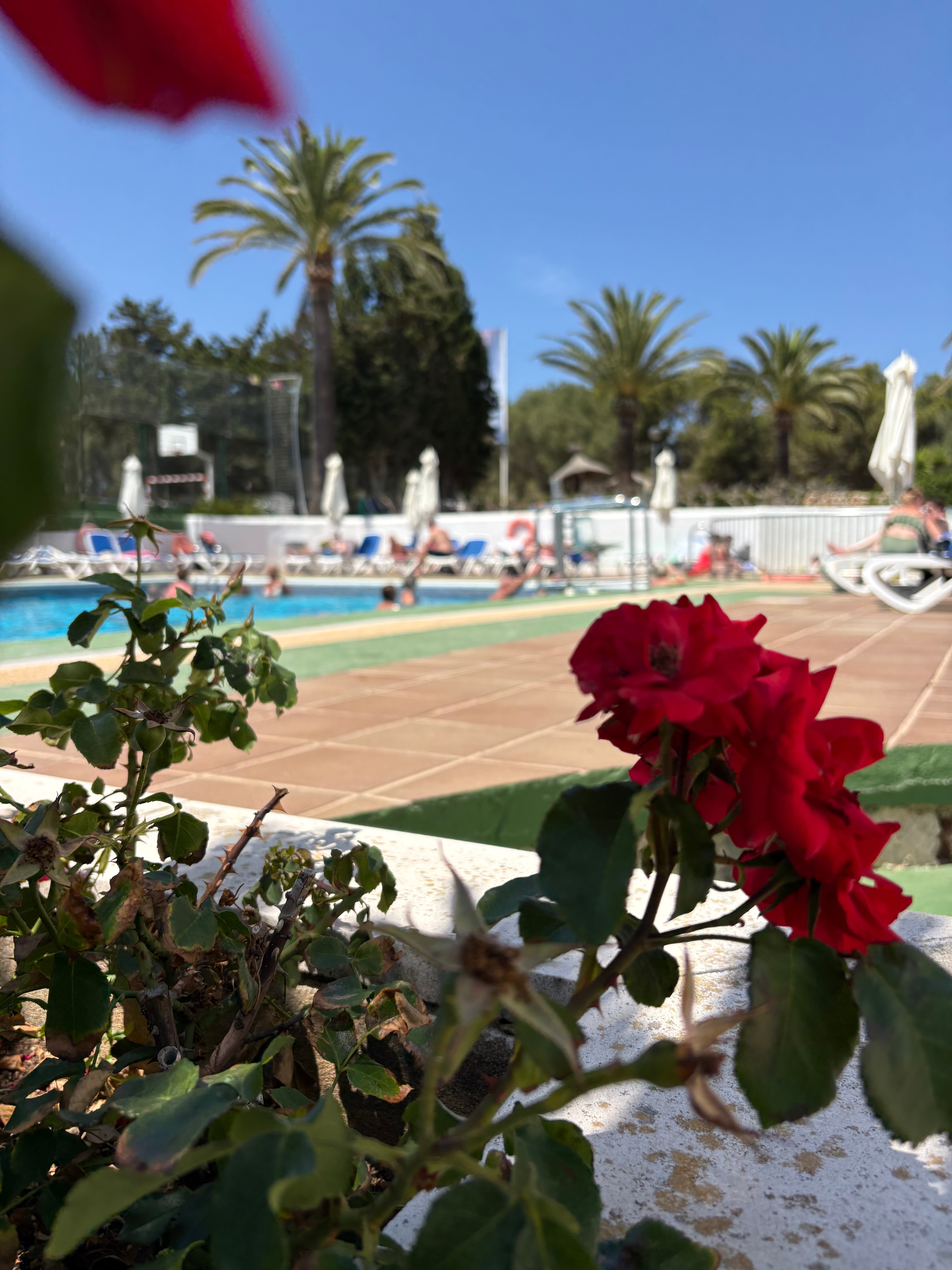 Globales Cala'n Blanes-旅行者