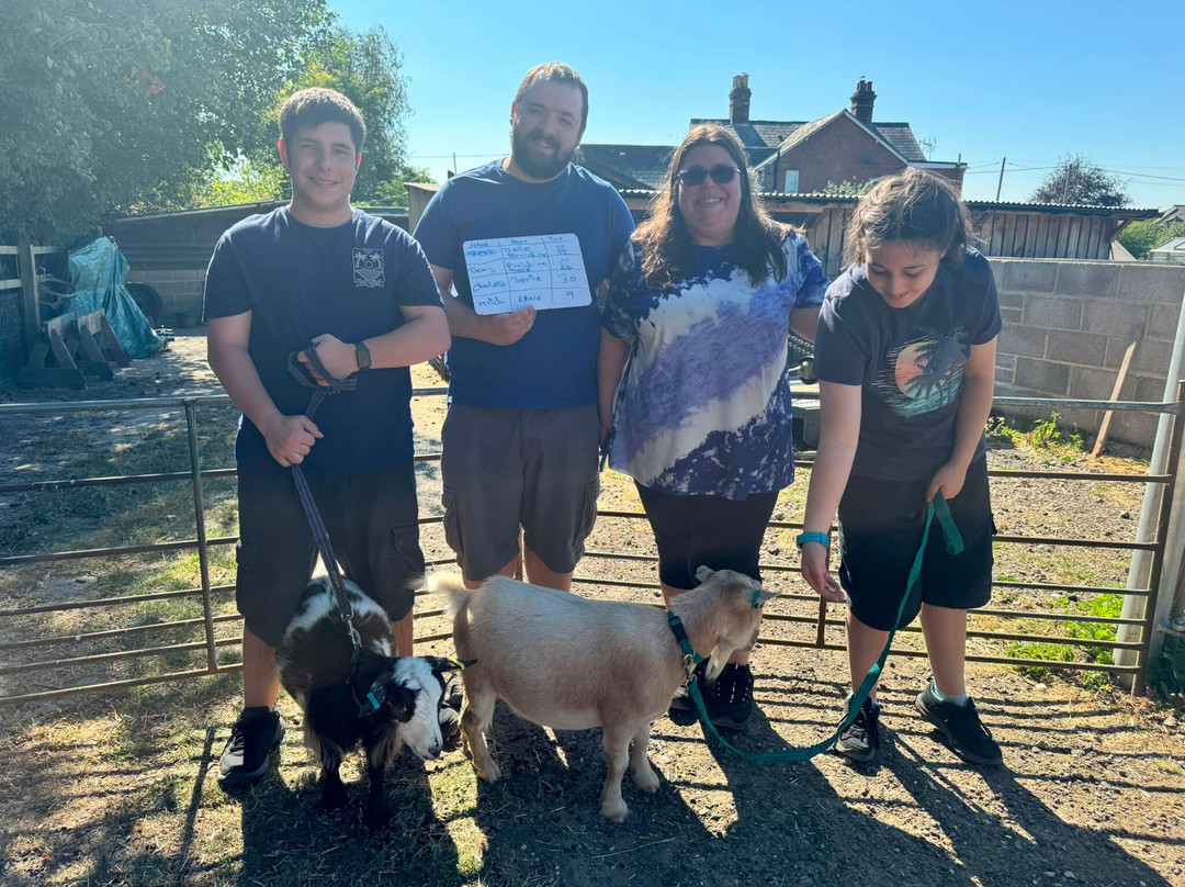 Little Goats At Brockenhurst-Brockenhurst必去景点