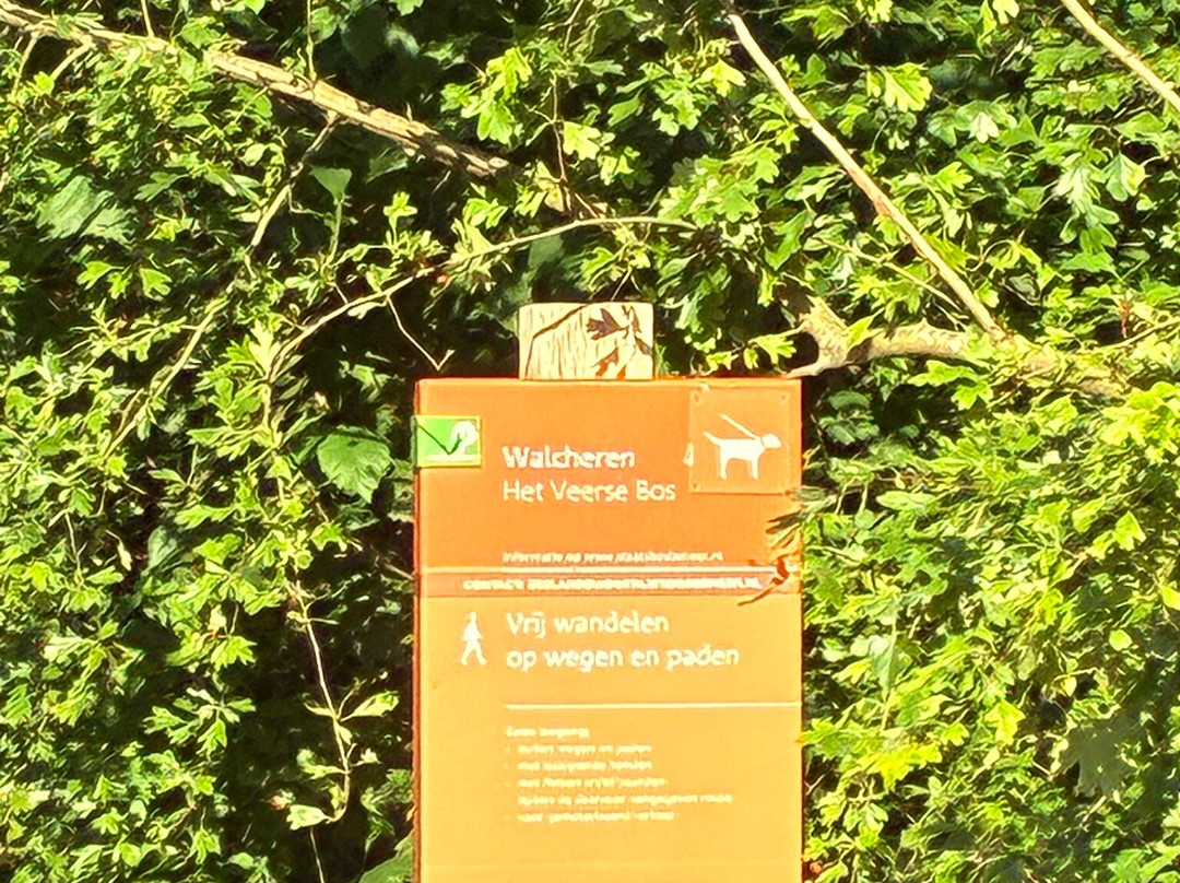 Boswachterspad Veerse Bos-Veere必去景点