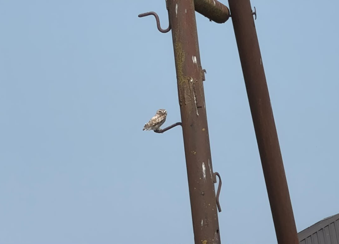 Shirvan National Park