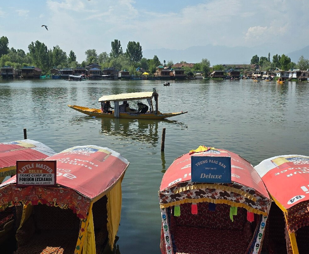 Dal Lake-斯利那加必去景点