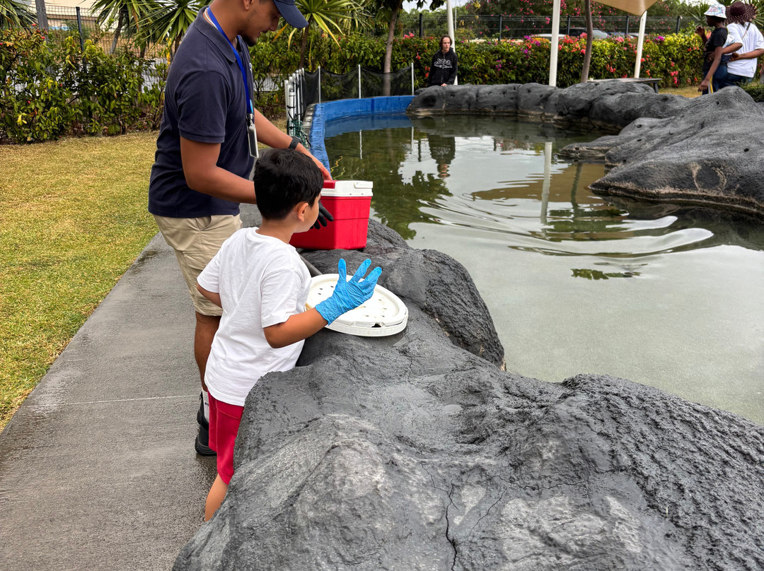 Odysseo Oceanarium Mauritius-路易士港必去景点