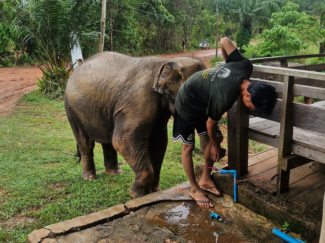 Following Giants - Krabi-Khlong Hin必去景点
