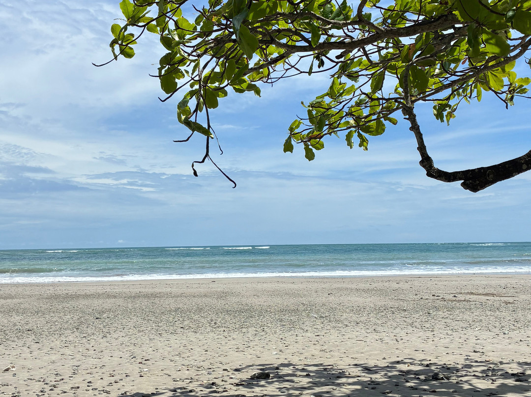 Playa Manzanillo-Manzanillo必去景点