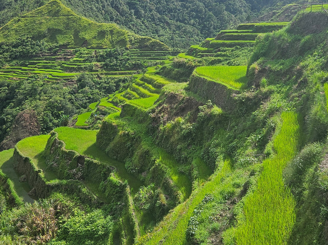 巴拿威梯田-Banaue必去景点