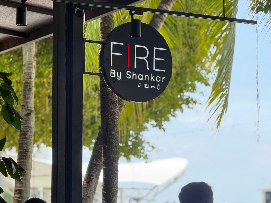 Fire by Shankar