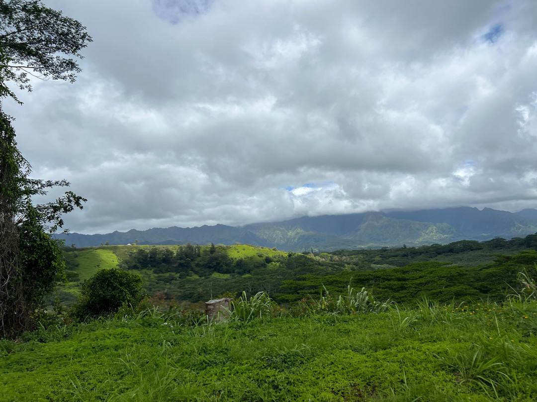 Kilohana Plantation-利胡埃必去景点