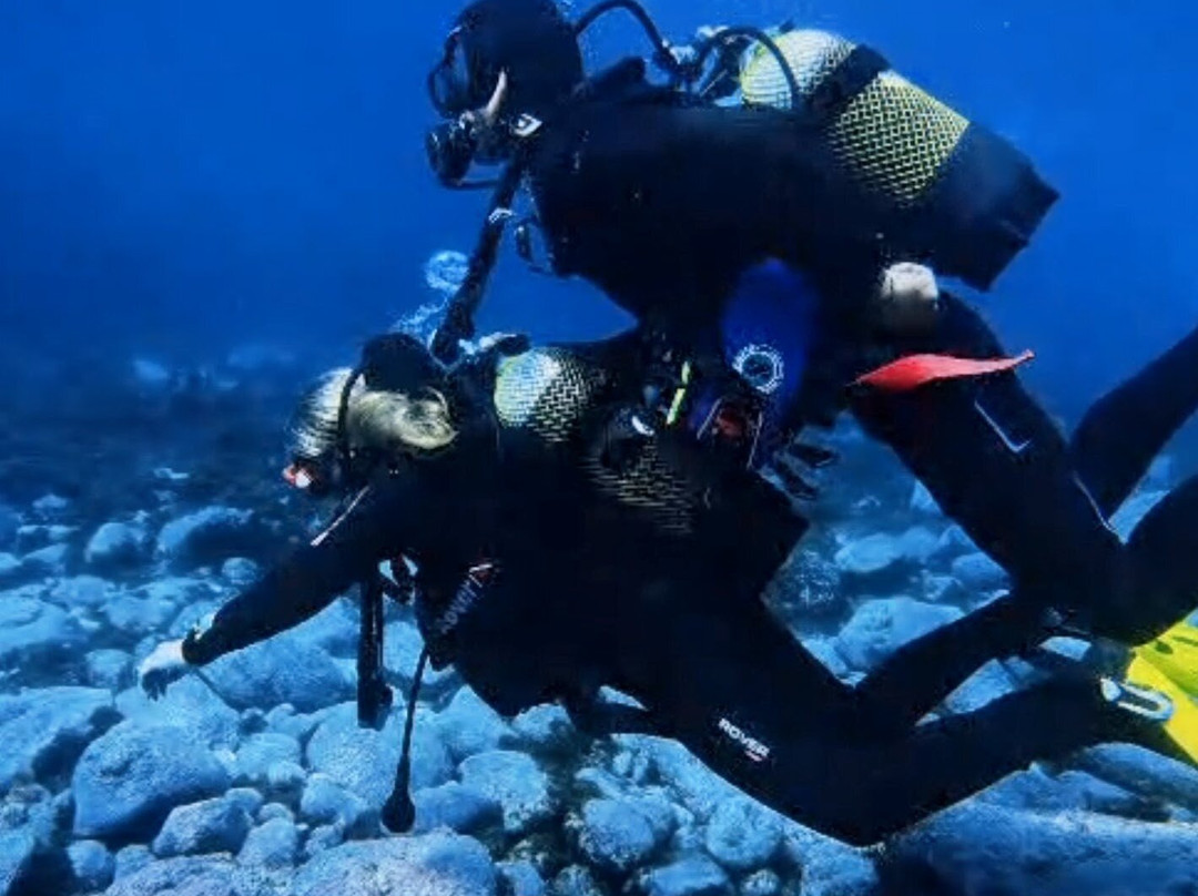 Madeira Diving Center-Canico必去景点